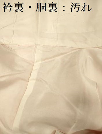 平和屋着物■上質な色無地　刺繍　裏菊地紋　東雲色　正絹　逸品　DABG1724ya