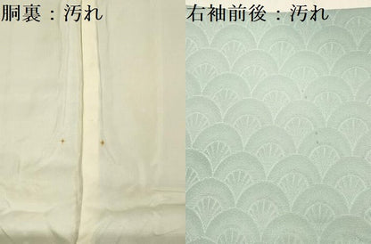平和屋着物■訪問着　青海波　暈し染め　正絹　逸品　DABG1737ya
