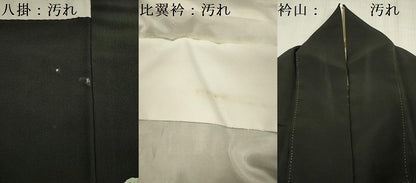 平和屋着物■豪華黒留袖　作家物　樹林文　金彩　正絹　逸品　DABG1759ya