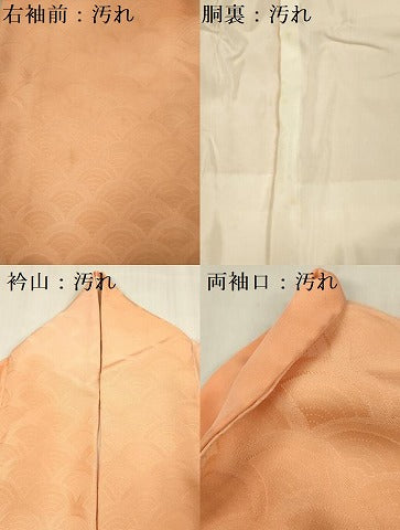 平和屋着物■上質な小紋　青海波地紋　暈し染め　正絹　逸品　DABG1792ya