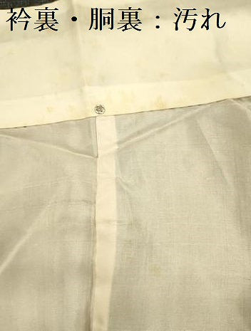 平和屋着物■本場大島紬　割り込み絣　舞花文　正絹　逸品　DABG1991ya