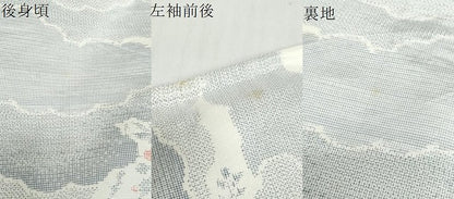 平和屋着物▽上質な紬　単衣　雲取草花文　正絹　逸品　DABG2009ud