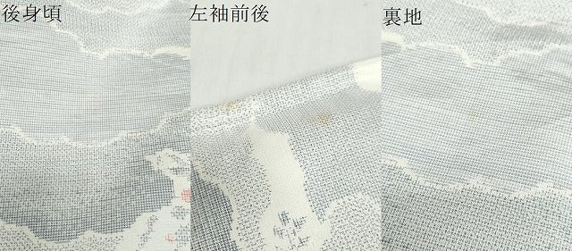 平和屋着物▽上質な紬　単衣　雲取草花文　正絹　逸品　DABG2009ud