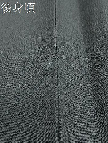 平和屋着物●銀座　志ま亀　小紋　花蝶丸文　黒地　金彩　ロング丈　正絹　逸品　DABG2110ud