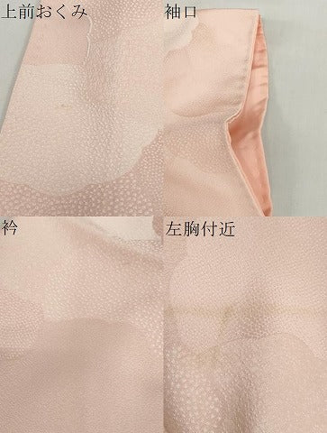 平和屋着物●上質な小紋　地紋起こし　花尽くし文　正絹　逸品　DABG2148ud