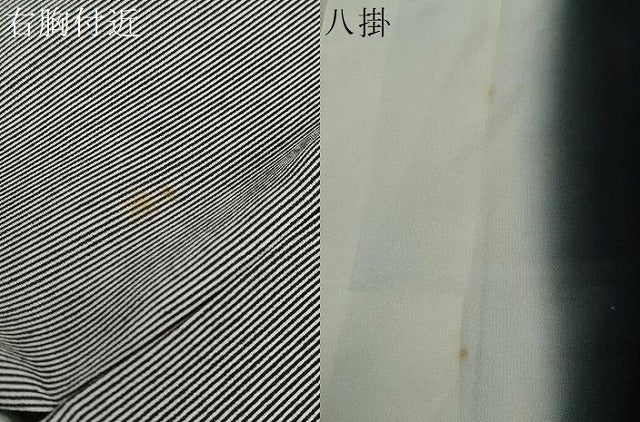 平和屋着物●江戸小紋　万筋　黒色×白色　正絹　逸品　未使用　DABG2201ud