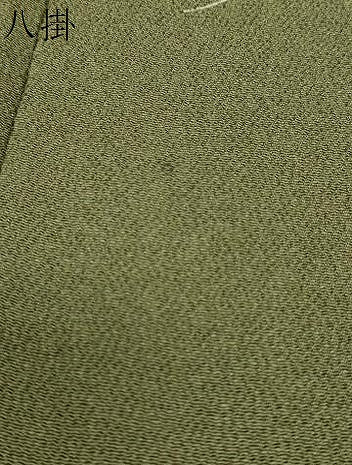 平和屋着物●訪問着　作家物　枝松文　金彩　健勝苑扱い　正絹　逸品　DABG2205ud