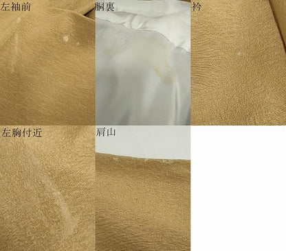 平和屋着物●訪問着　流水楽器草花文　暈し染め　金彩　正絹　逸品　DABG2217ud