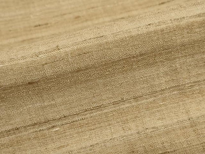 平和屋着物●インド・アッサム　野蚕糸　手織　ムガシルク　霞文　正絹　逸品　DABG2228ud