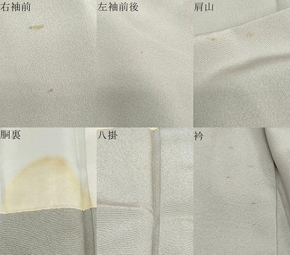平和屋着物●豪華色留袖　友禅　作家物　飛鶴飾花文　正絹　逸品　DABG2238ud