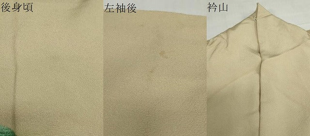 平和屋着物●訪問着　作家物　手描き　樹林風景文　暈し染め　金彩　正絹　逸品　DABG2352ud