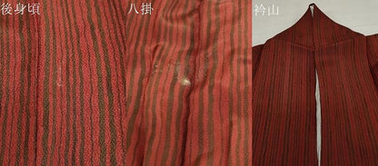 平和屋着物●色留訪問着　型染め　地紙花鳥文　鬼しぼ縮緬　正絹　逸品　DABG2362ud