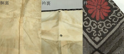 平和屋着物●本場大島紬　龍郷絣　花菱文　正絹　逸品　DABG2415ud