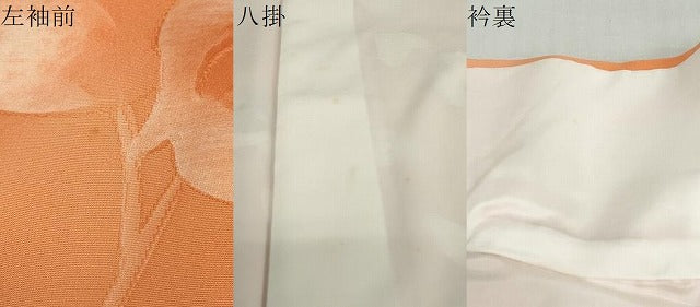 平和屋着物●上質な小紋　地紋起こし　枝花文　暈し染め　正絹　逸品　未使用　DABG2420ud