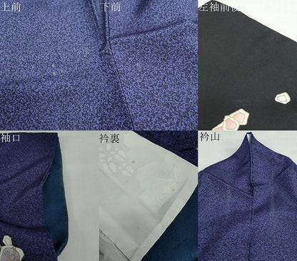 平和屋着物●訪問着　枝花文　暈し染め　金彩　正絹　逸品　DABG2496ud