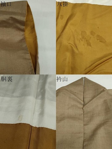平和屋着物●訪問着　紬地　草花文　正絹　逸品　DABG2501ud