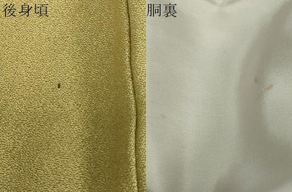 平和屋着物●訪問着　草花文　暈し染め　金彩　正絹　逸品　DABG2524ud
