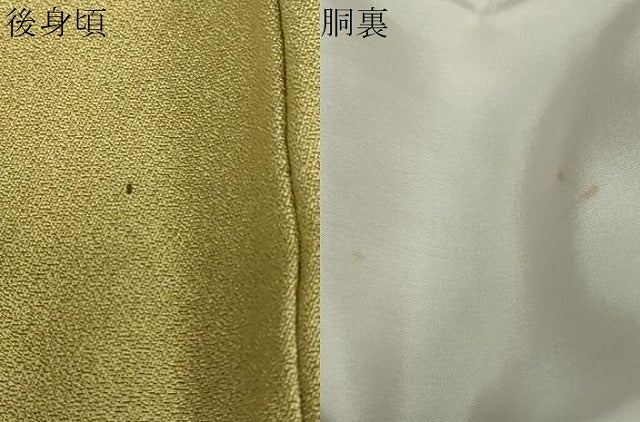 平和屋着物●訪問着　草花文　暈し染め　金彩　正絹　逸品　DABG2524ud