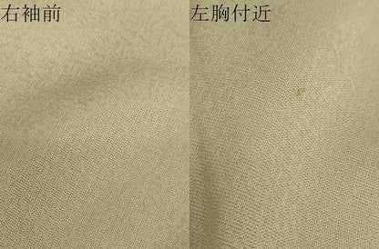 平和屋着物●訪問着　黄金繭　駒刺繍　草花丸文　金銀彩　さが美扱い　正絹　逸品　DABG2594ud