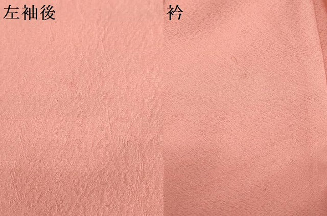 平和屋着物●上質な色無地　草花丸地紋　東雲色　正絹　逸品　DABG2609ud