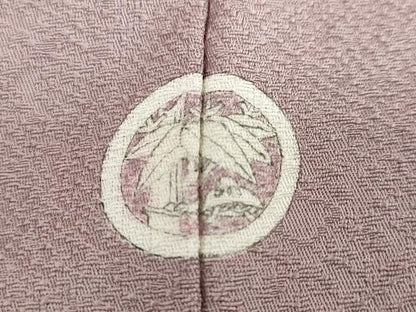 平和屋着物●上質な色無地　箔散らし地紋　薄色　正絹　逸品　DABG2610ud