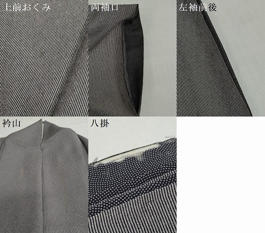 平和屋着物●伝統工芸師　服部光擴　江戸小紋　万筋　黒紅色×霞色　正絹　逸品　DABG2616ud