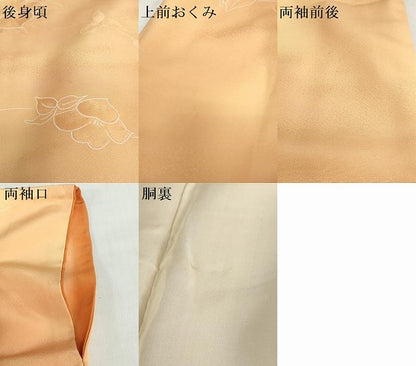 平和屋着物●上質な小紋　地紋起こし　枝花文　暈し染め　正絹　逸品　DABG2644ud