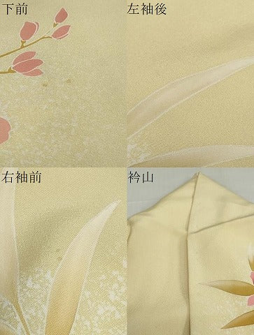 平和屋着物●訪問着　草花文　金彩　正絹　逸品　DABG2745ud