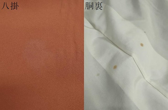 平和屋着物●訪問着　刺繍　葡萄蔦の葉文　金彩　正絹　逸品　DABG2772ud