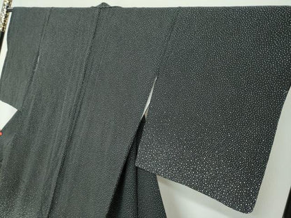 平和屋着物●寺山存男　江戸小紋　訪問着　大小霰　黒地　正絹　逸品　DABG2916ud
