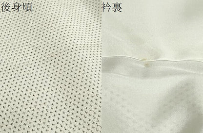 平和屋着物●本塩沢　蚊絣　正絹　逸品　DABG2921ud