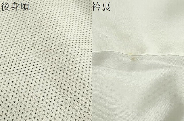 平和屋着物●本塩沢　蚊絣　正絹　逸品　DABG2921ud