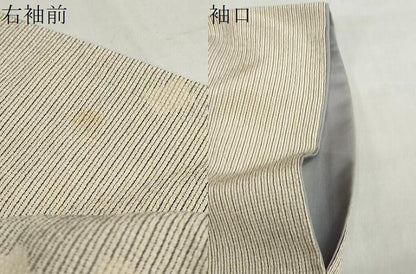 平和屋着物●本塩沢　箔散らし文　正絹　逸品　DABG2987ud