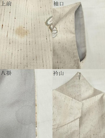 平和屋着物●訪問着　ぜんまい紬地　舞花文　兎　金彩　正絹　逸品　DABG2992ud