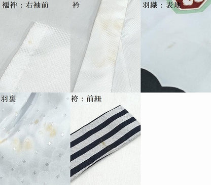 平和屋着物[]七五三　男の子　祝着・羽織・長襦袢(単衣)セット　鷹　鷲　松文　暈し染め　金彩　DABG3370ma