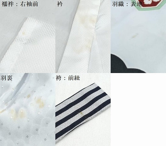 平和屋着物[]七五三　男の子　祝着・羽織・長襦袢(単衣)セット　鷹　鷲　松文　暈し染め　金彩　DABG3370ma
