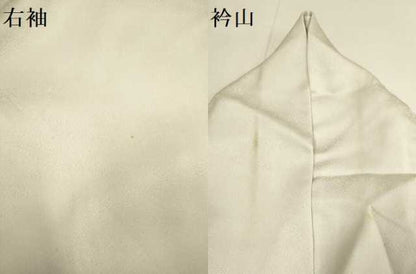 平和屋着物●国際的伝統工芸作家　十二代・藤林徳扇　苑寿　色留袖　藤松文　暈し染め　正絹　逸品　DABG3769du