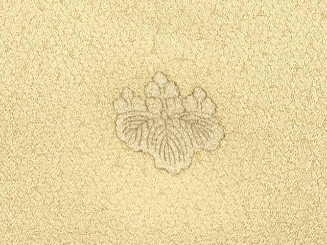 平和屋着物▼豪華色留袖　駒刺繍　総刺繍　絞り　花車文　正絹　逸品　DABG3888du
