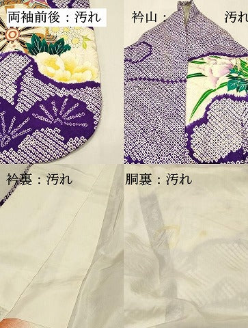 平和屋着物■豪華振袖　駒刺繍　絞り　片輪車花文　金彩　正絹　逸品　DABG4194qp