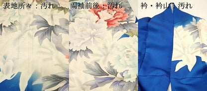 平和屋着物■豪華振袖　駒刺繍　牡丹　暈し染め　金彩　正絹　逸品　DABG4260qp