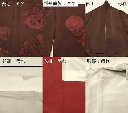 平和屋着物■訪問着　刺繍　乱菊　正絹　逸品　DABG4290qp