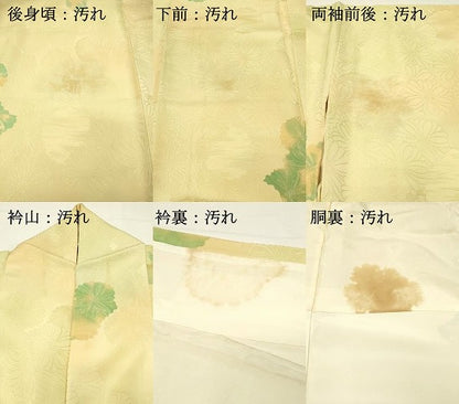 平和屋着物■上質な小紋　地紋起こし　菊尽くし　暈し染め　正絹　逸品　DABG4480qp