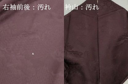 平和屋着物■上質な色無地　雲取り花地紋　紫鳶色　正絹　逸品　DABG4697qa