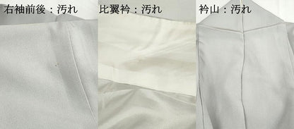 平和屋着物■豪華色留袖　作家物　人物風景文　暈し染め　金糸　金彩　正絹　逸品　DABG4699qa