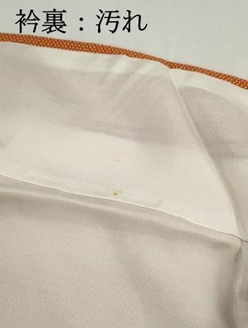 平和屋着物■江戸小紋　小花尽くし　正絹　逸品　DABG4832qa