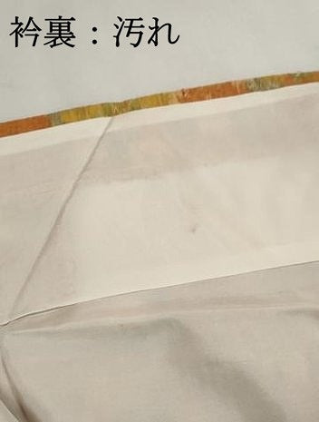 平和屋着物■上質な紬　舞花文　正絹　逸品　DABG4842qa