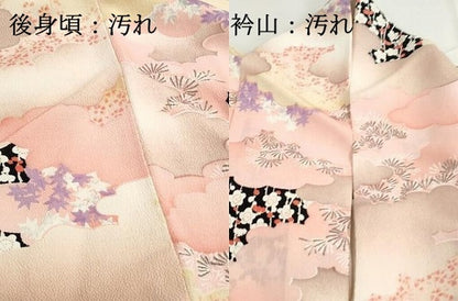 平和屋着物■上質な小紋　雲取り枝梅文　暈し染め　鬼しぼ縮緬　正絹　逸品　DABG4869qa