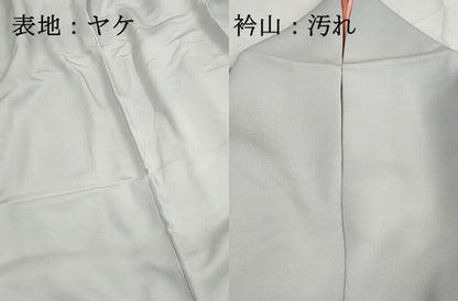 平和屋着物■訪問着　友禅　花鳥文　暈し染め　正絹　逸品　DABG4882qa