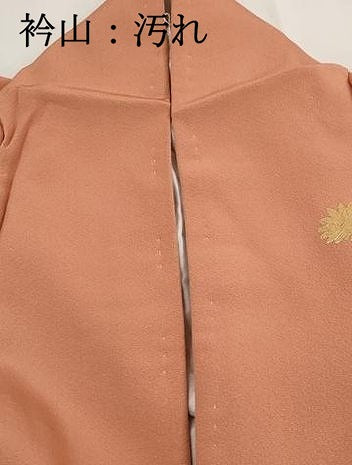 平和屋着物■訪問着　孔雀花文　暈し染め　金彩　正絹　逸品　DABG4883qa