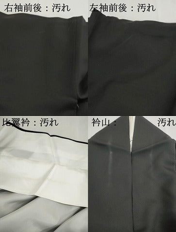 平和屋着物■豪華黒留袖　寿光織　京洛名所園　暈し染め　金糸　正絹　逸品　DABG4924qa